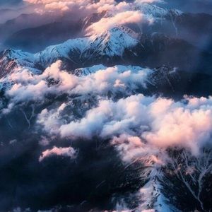 Meet your Posher, Anne